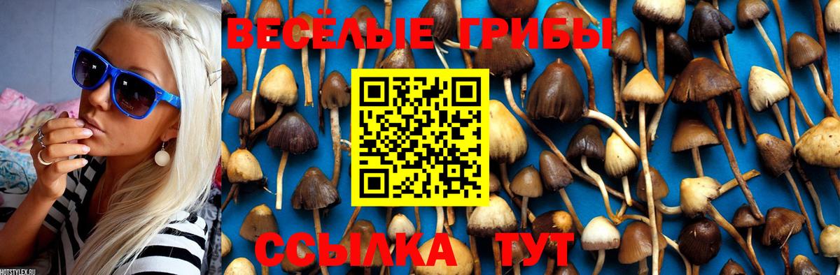 Гусь-Хрустальный  Галлюциногенные грибы прущие грибы  как найти наркотики  Вход с VPN 